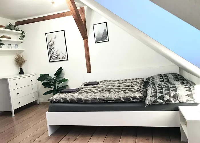 게스트하우스 Pension Bernartice 3*