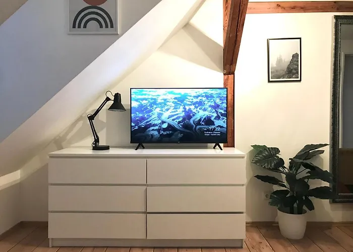게스트하우스 Pension Bernartice 3*