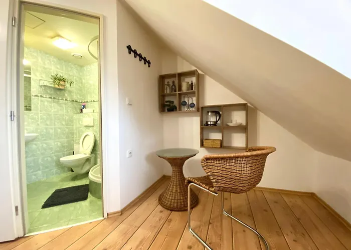 Pension Bernartice 3*