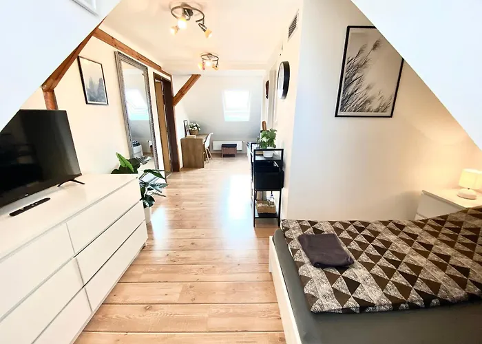 Pension Bernartice 게스트하우스 3*